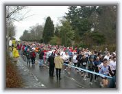 DZ004 * 2272 x 1704 * (1.22MB)