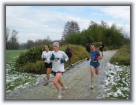 IMG_6070 * 1600 x 1200 * (341KB)