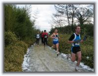 IMG_6071 * 1600 x 1200 * (406KB)