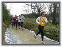 IMG_6088 * 1600 x 1200 * (462KB)